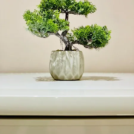 Blloku Center Appartamento